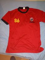 Voetbalshirt maat L, Sport en Fitness, Maat L, Shirt