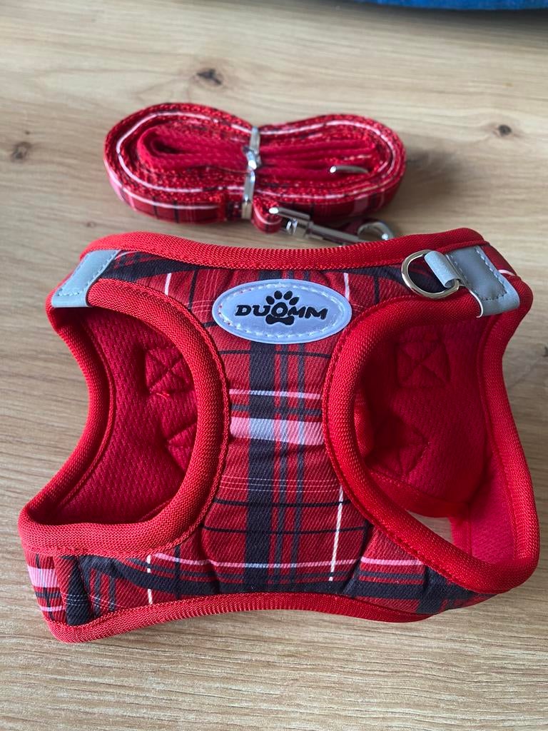 Harnais et laisse pour petit chien / chat, Animaux & Accessoires, Enlèvement ou Envoi, Neuf, Accessoires pour laisse pour chien