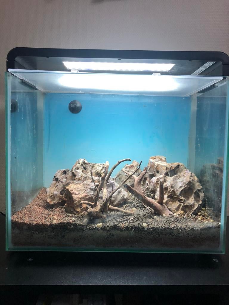 Aquarium - Superfish Home 40 Aquarium Noir 40 L, Animaux & Accessoires, Enlèvement, Utilisé, Aquarium d'eau douce rempli, Superfish