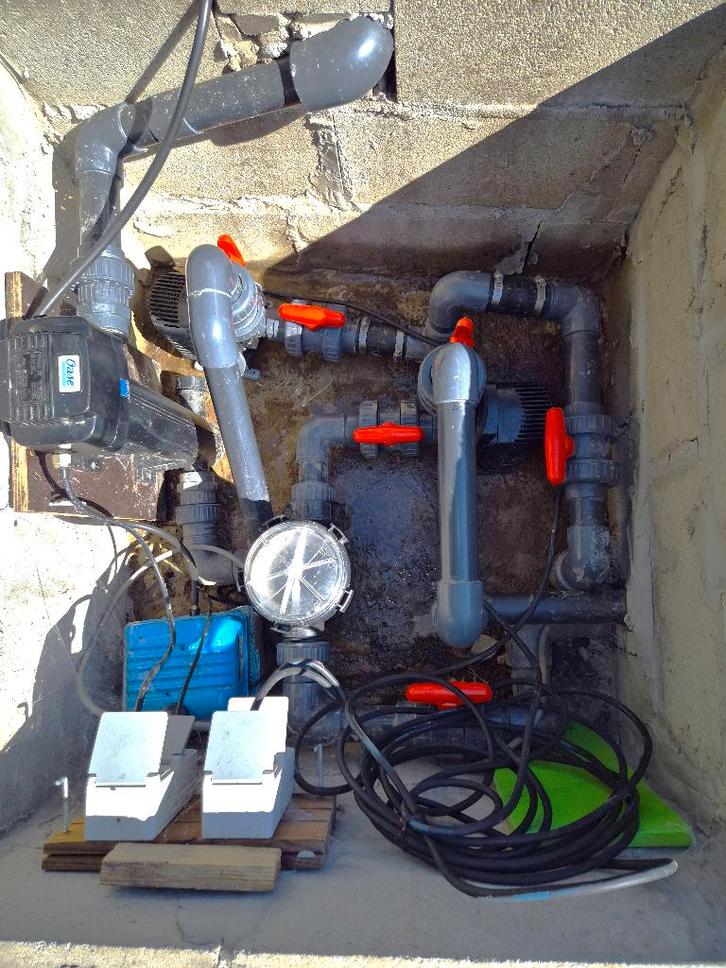 Étang avec carpes koï dans un ensemble complet, Jardin & Terrasse, Accessoires pour étangs, Utilisé, Enlèvement