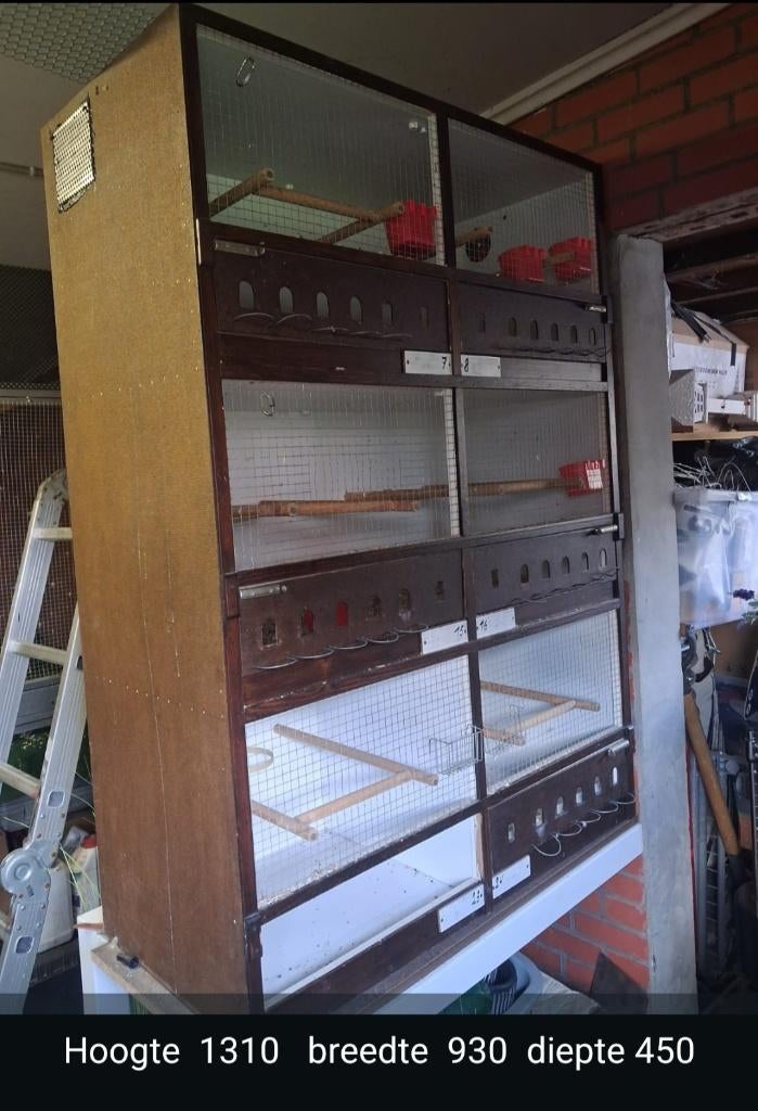 Kweekkooi, Ophalen, Gebruikt, Hout, Broedkooi of Kweekkooi