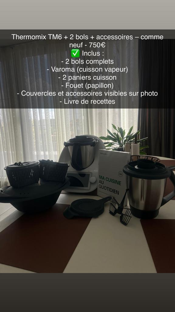 TM6, Electroménager, Mélangeurs de cuisine, Comme neuf, Enlèvement