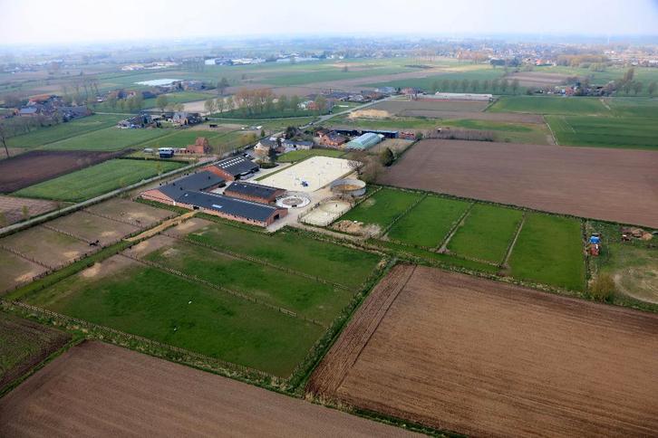 hulp rond de paardenweides en onderhoud stalgebouwen, Animaux & Accessoires, Box & Pâturages, Mise à l'étable, Pâturage