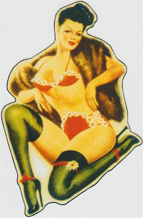 Pin Up Girl sticker #15, Verzamelen, Stickers, Nieuw, Verzenden