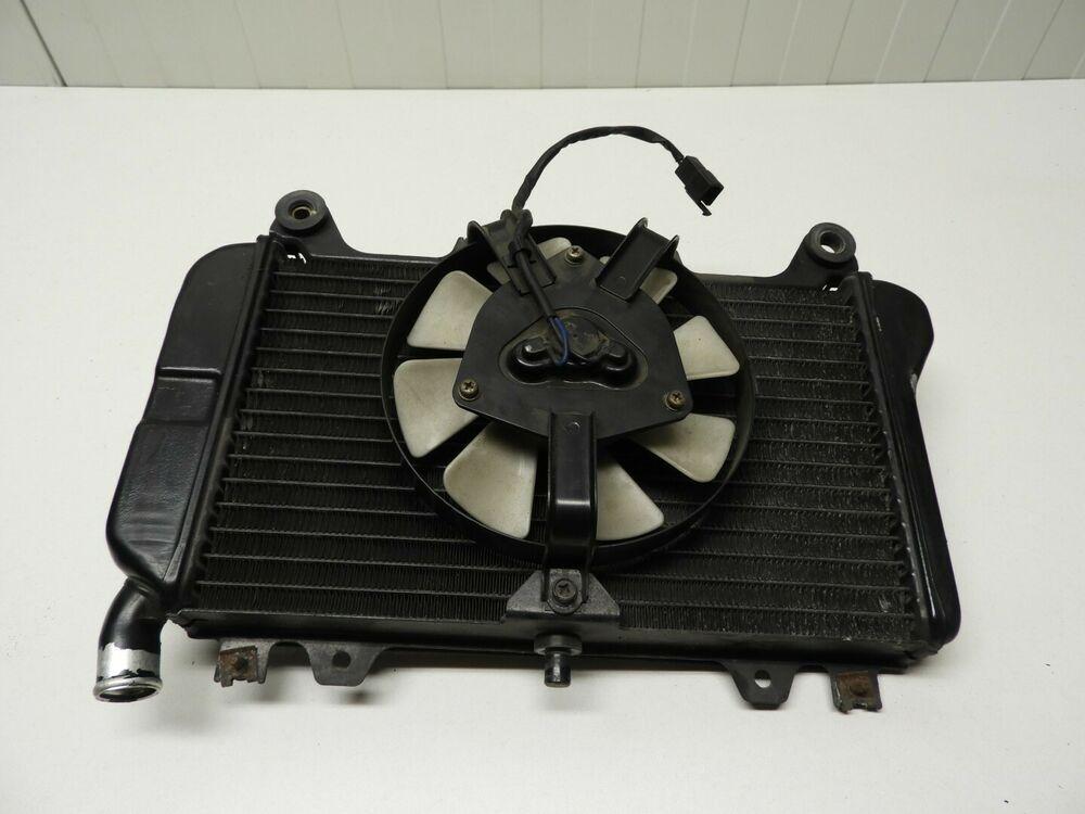 ZZR600 1993 - 2005 Kawasaki Radiator D1-44330