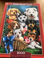 Castorland puzzel 1000 stukjes, Ophalen, Zo goed als nieuw