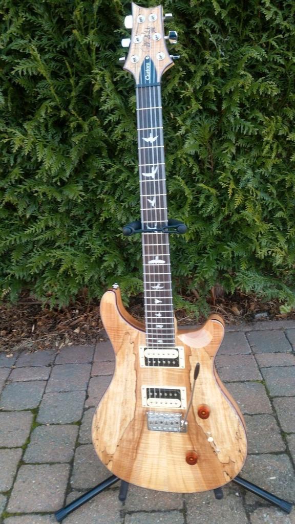 PRS limited edition se custom spalted maple, Musique & Instruments, Instruments à corde | Guitares | Électriques, Enlèvement