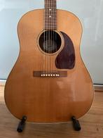 Gibson J-15, Enlèvement, Utilisé, Autres types, Avec valise