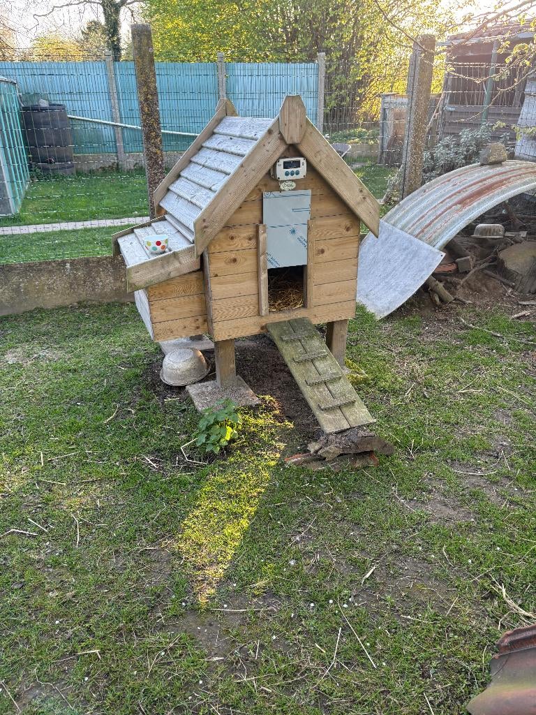 kippenhok met automatische deur sensor, Dieren en Toebehoren, Ophalen, Zo goed als nieuw, Kippenhok of Kippenren