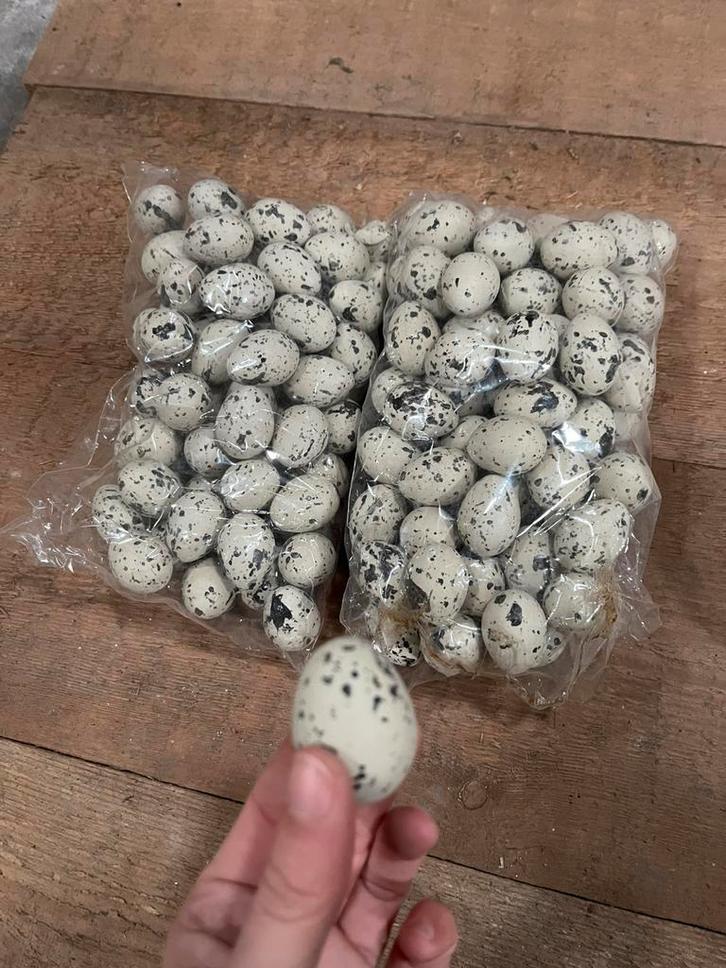 Pasen: kleine eitjes, Divers, Pâques, Comme neuf, Enlèvement