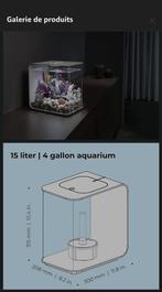 Aquarium, Enlèvement