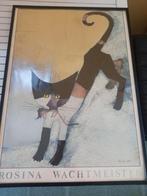 Cadre Rosina Wachtmeister, Enlèvement, Utilisé