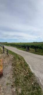 Hakselmais west-vlaanderen, Zakelijke goederen, Ophalen