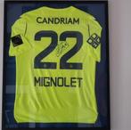 Truitje Simon mignolet gesigneerd, Verzenden