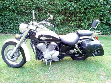 honda - vt shadow - Motorfiets, Motoren, Motoren | Honda, Bedrijf, Overig