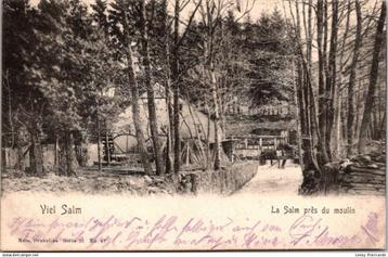 La Salm près du moulin, Vielsalm (Feldpost) beschikbaar voor biedingen