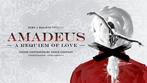 Ballet Amadeus - Koninklijk Circus van Brussel - 05/12/2025, Tickets en Kaartjes, Twee personen, December, Ballet of Dans