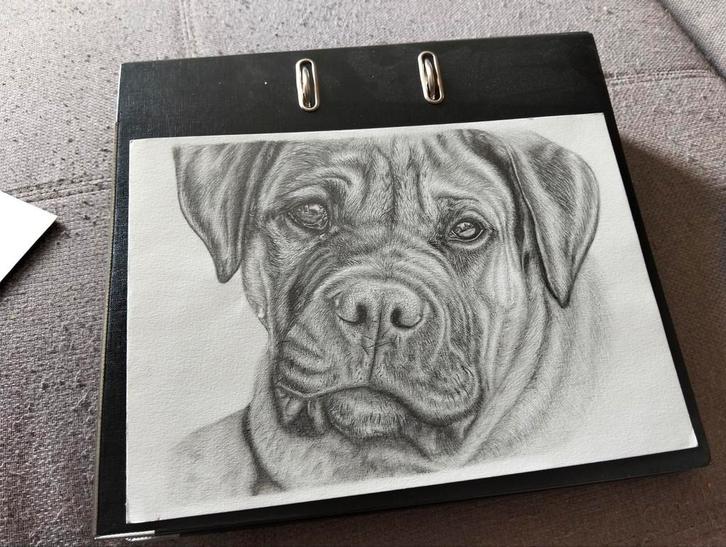 Realistische tekening hondenportret ( prijs bespreekbaar), Antiek en Kunst, Kunst | Tekeningen en Fotografie, Ophalen