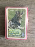 Kwartet dieren uit de hele wereld, Ophalen of Verzenden, Nieuw