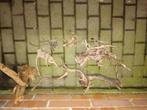 Aquarium hout te koop, Dieren en Toebehoren, Ophalen, Gebruikt, Plant(en), Steen of Hout