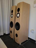 YB Audio Zephyr 2, Ophalen, Zo goed als nieuw, Front, Rear of Stereo speakers