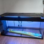 Aquarium 180L en toebehoren, Ophalen, Gebruikt, Leeg aquarium