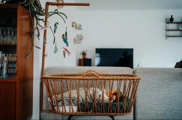 leuk rotan wiegje baby vintage/retro beschikbaar voor biedingen