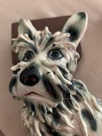 Italië.hondje.ceramiek.getekend, Verzamelen, Ophalen, Zo goed als nieuw