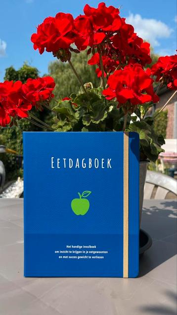 Splinternieuw eetdagboek – voor gezondere eetgewoonten beschikbaar voor biedingen