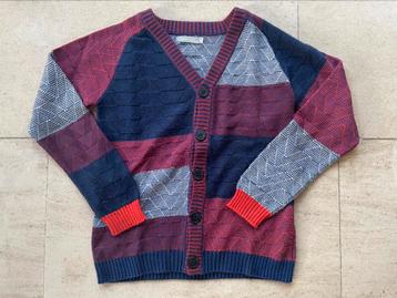 Zeer mooie gilet Hilde & Co maat 140, Hilde&Co, Trui of Vest, Ophalen of Verzenden, Zo goed als nieuw