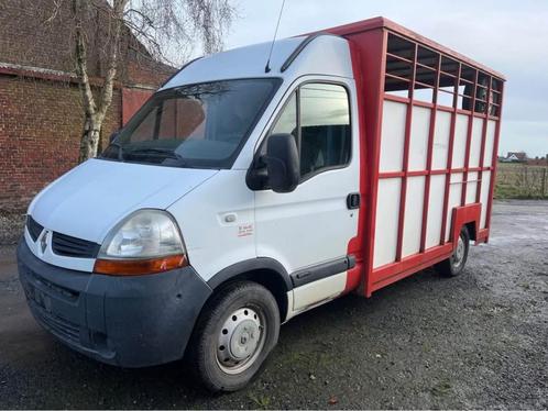 camionette Renault Master voor dierenvervoer, Auto's, Bestelwagens en Lichte vracht, Bedrijf, Renault, Diesel, Ophalen