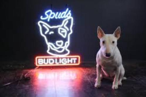Spud's bull neon licht reclame USA decoratie mancave neons, Collections, Marques & Objets publicitaires, Neuf, Table lumineuse ou lampe (néon)