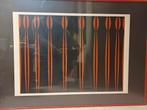 Miodrag litho's pop-art vintage, Ophalen