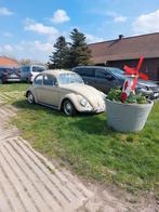 VW Kever, Auto's, Oldtimers, Beige, Beige, Particulier, Te koop