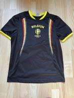 Voetbal T shirt Euro 2016 France, Ophalen of Verzenden, Zo goed als nieuw, Shirt