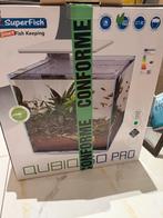 A vendre, Animaux & Accessoires, Enlèvement ou Envoi, Comme neuf