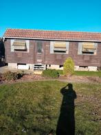 Pigeonnier duif duif, Dieren en Toebehoren, Vogels | Duiven