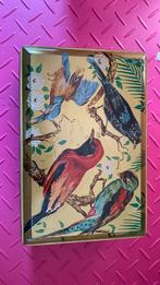 Blikken doos vogels, Ophalen of Verzenden