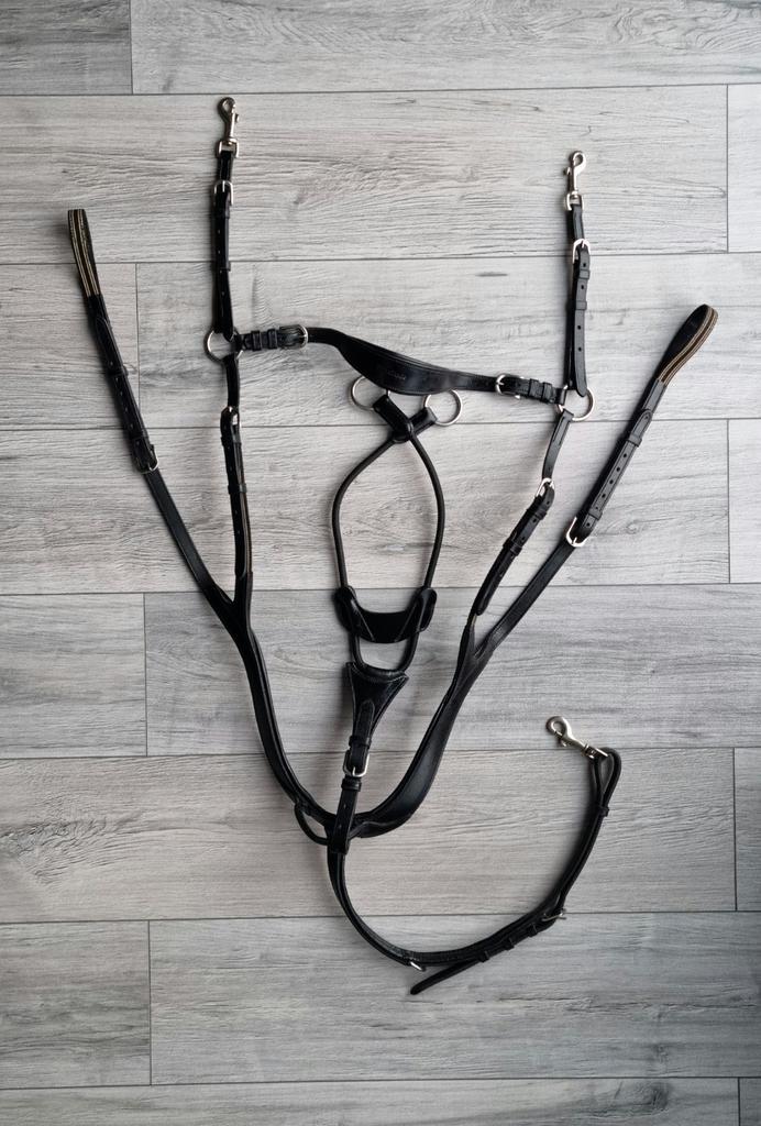 Kavalkade Caya borsttuig, Animaux & Accessoires, Chevaux & Poneys | Brides & Harnachement, Comme neuf, Enlèvement ou Envoi