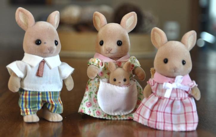Différentes Sylvanian Families (14 familles), Kinderen en Baby's, Speelgoed | Actiefiguren, Gebruikt, Ophalen of Verzenden