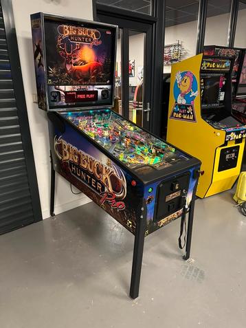 Prachtige flipperkast Stern Big Buck Hunter Pinball beschikbaar voor biedingen