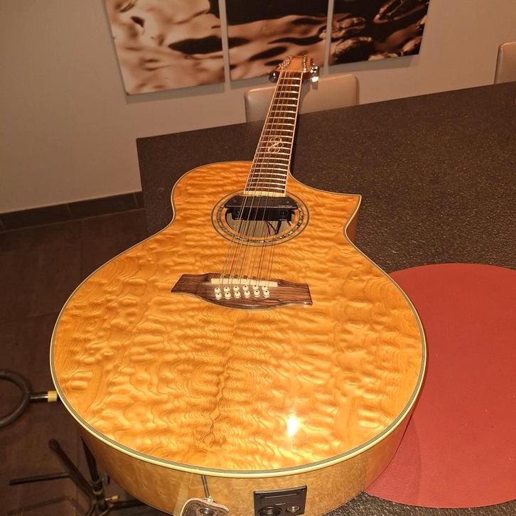 Prachtige Ibanez 12 string akoestisch-elektrische gitaar, Musique & Instruments, Instruments à corde | Guitares | Acoustiques