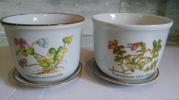 Vintage bloempotten botanica porselein 2 met schaal Ø 13,5cm beschikbaar voor biedingen