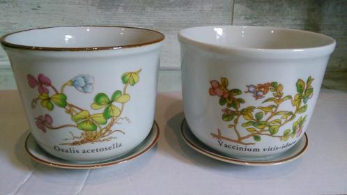 Vintage bloempotten botanica porselein 2 met schaal Ø 13,5cm, Tuin en Terras, Bloempotten, Zo goed als nieuw, Binnen, Ophalen of Verzenden