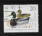 DDR - Eenden - Afgestempeld - Lot Nr. 541, Postzegels en Munten, Postzegels | Thematische zegels, Dier of Natuur, Verzenden, Gestempeld