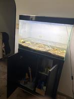 Aquarium 200l met op maat gemaakte ingebouwde kasten., Dieren en Toebehoren, Ophalen, Zo goed als nieuw, Overige typen