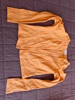 gillet staxo maat 152, Kinderen en Baby's, Kinderkleding | Maat 152, Ophalen of Verzenden, Nieuw