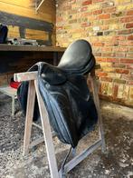 Hippos dressuur zadel met singel, Dieren en Toebehoren, Paarden en Pony's | Zadels, Ophalen, Gebruikt, Dressuur