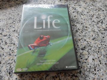 nr.1738) Dvd box: life - documentaire beschikbaar voor biedingen