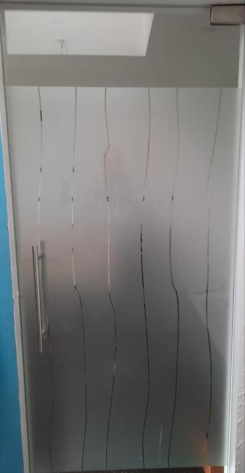 Glazen deuren, inclusief inox deurbeslag en scharnieren. beschikbaar voor biedingen